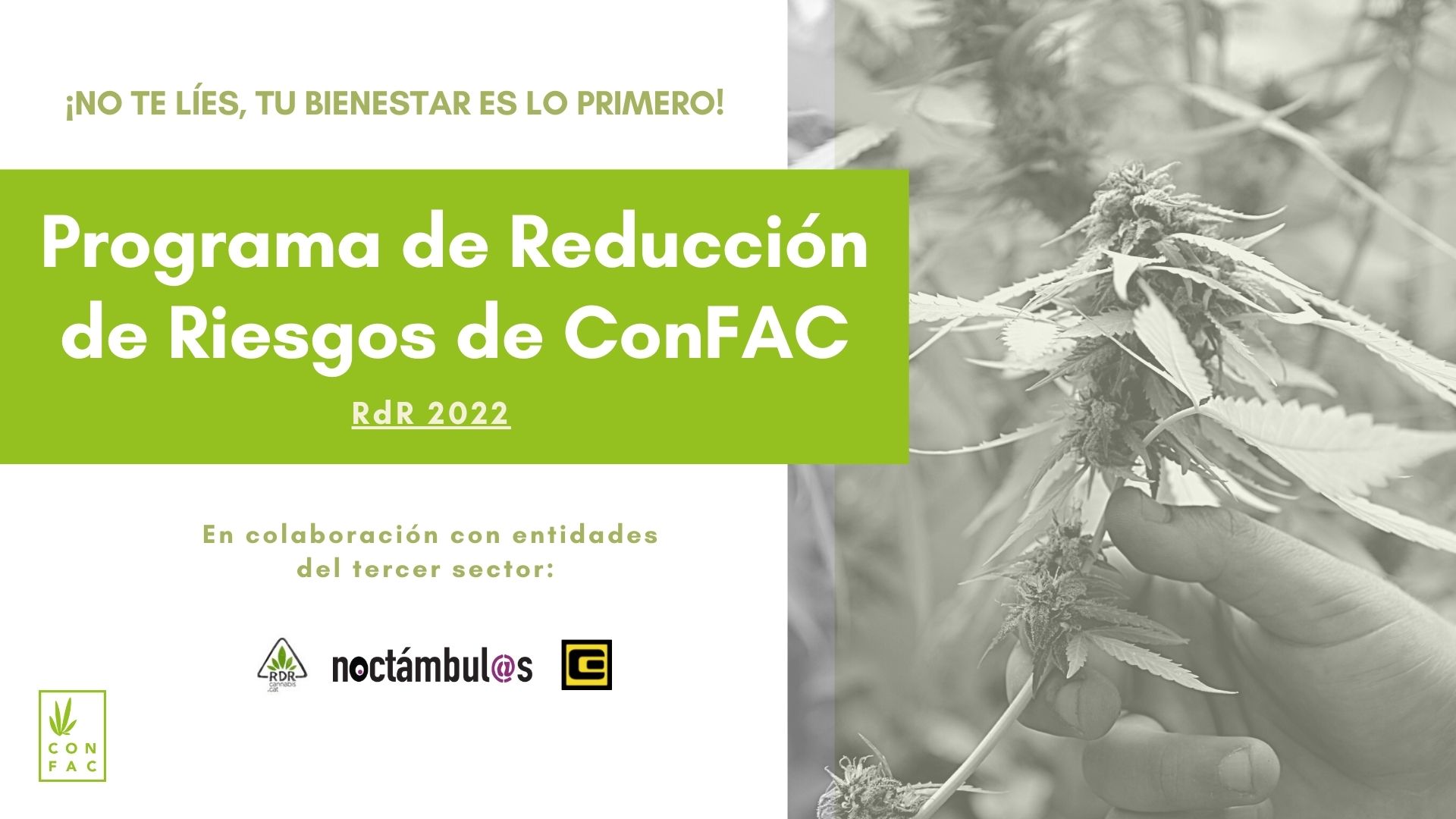 Programa RdR 2022 ConFAC
