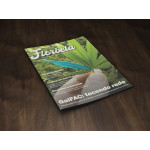 Revista Florbela GalFAC